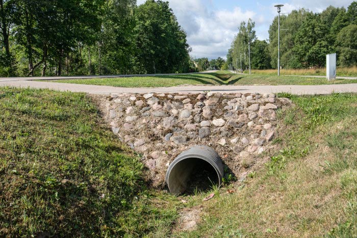 Smole - stock.adobe.com